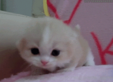 1318924047.gif