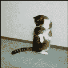 Bwo51381ae90424d.gif